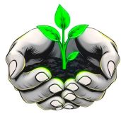 R.O.C.K.-Roots Of Care and Kindness Mutual Aid Group